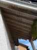 Bilder_116